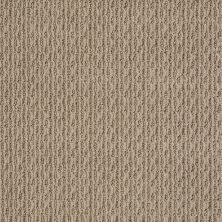 Anderson Tuftex American Home Fashions Proud Design Sable 00754_ZA883