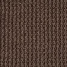 Anderson Tuftex American Home Fashions Proud Design Kola Nut 00776_ZA883