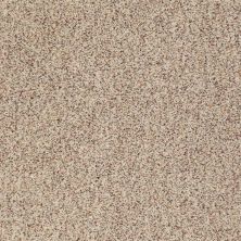 Anderson Tuftex American Home Fashions Nice Dreams II Berber Tweed 0121B_ZA941