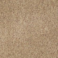 Anderson Tuftex American Home Fashions Nice Dreams II Berber Raw Silk 0172B_ZA941
