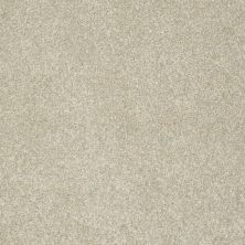 Anderson Tuftex Sandy Seed Pearl 00114_ZA950