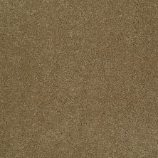 Anderson Tuftex Sandy Maple Glaze 00202_ZA950