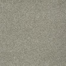 Anderson Tuftex Sandy Moondust 00710_ZA950