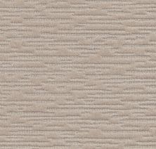 Anderson Tuftex Builder Purrfect Fit Sea Haze 00411_ZB042