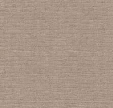 Anderson Tuftex Builder Purrfect Fit Mocha 00714_ZB042