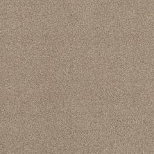 Anderson Tuftex Builder Terra Firma Canvas 00233_ZB252