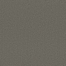 Anderson Tuftex Builder Avant-garde Asphalt 00556_ZB280
