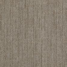 Anderson Tuftex Builder Crowd Delight II Demure Taupe 00573_ZB775