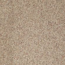 Anderson Tuftex Builder Sheer Genius I Berber Heather 0174B_ZB813