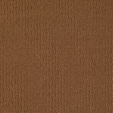 Anderson Tuftex Builder Morovino Modern Brown 00728_ZB820