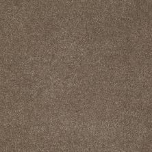 Anderson Tuftex Builder Lush Life Misty Taupe 00575_ZB872
