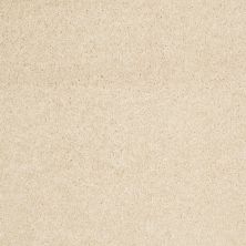 Anderson Tuftex Builder Sheer Genius II Dream Dust 00220_ZB942