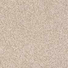 Anderson Tuftex Trends Sesame Seed 0122B_ZE219
