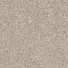 Anderson Tuftex Trends Autumn 0272B_ZE219