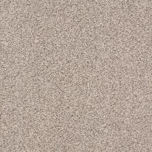 Anderson Tuftex Trends Timid Taupe 0574B_ZE219