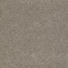 Anderson Tuftex American Home Fashions Our Place I Flagstone 00552_ZJ003