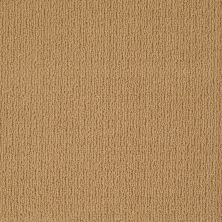Anderson Tuftex AHF Builder Select Now Showing Colonial Gold 00226_ZL820