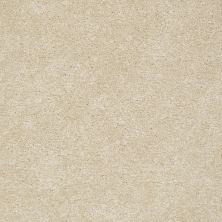 Anderson Tuftex AHF Builder Select Ruffles Fortune Cookie 00101_ZL951