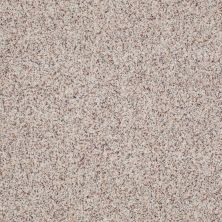 Anderson Tuftex Classics TEXTURED CUT PILE Crushed Pearl IS-0212B_ZZ003