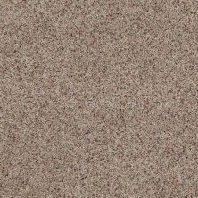 Anderson Tuftex Classics TEXTURED CUT PILE Morning Blend IS-0214B_ZZ003