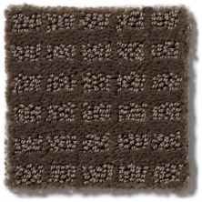 Anderson Tuftex Classics Chasing Dreams Warm Taupe 023AG_00758