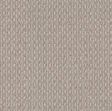 Anderson Tuftex Moondance Silver Taupe 00753_ZZ035