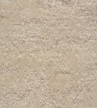 Anderson Tuftex Tavares Travertine 00172_ZZ068