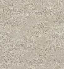 Anderson Tuftex Tavares Washed Gray 00512_ZZ068