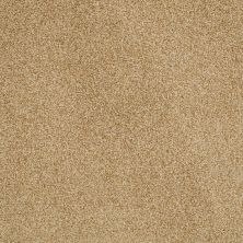 Anderson Tuftex American Home Fashions Belmont Gold Dust 00225_ZZA14