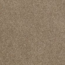 Anderson Tuftex American Home Fashions Belmont Cuddly Bear 00774_ZZA14