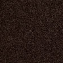 Anderson Tuftex American Home Fashions Belmont Chocolate Drop 00777_ZZA14