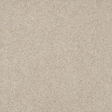 Anderson Tuftex Builder Patina Country Cream 00170_ZZB14