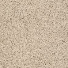 Anderson Tuftex Builder Zara Brushed Ivory 00111_ZZB21