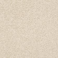 Anderson Tuftex Builder Zara Luminary 00113_ZZB21