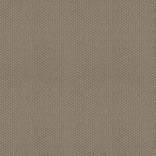 Anderson Tuftex Builder Rancho Hill II Taupe Tone 00574_ZZB40