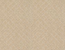 Anderson Tuftex Builder Belton Hazelnut 00113_ZZB80