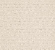 Anderson Tuftex Builder Merle Barely Beige 00111_ZZB81