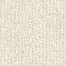 Anderson Tuftex Builder Peak Season Sparkling 00121_ZZB86