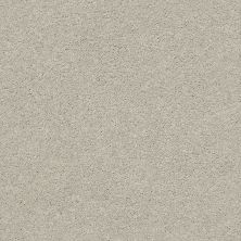 Anderson Tuftex Art Form Gentle Gray 00541_ZZE01