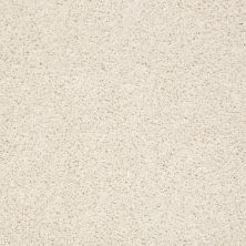 Anderson Tuftex Classics Morro Coast Swan 00110_ZZE21