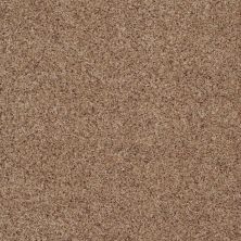Anderson Tuftex AHF Builder Select Trying Hard Cinnamon Toast 0722B_ZZL06
