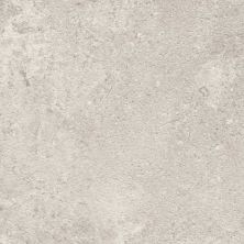 Freedom Casa Roma ®  Grey (12×24 Rectified) Grey CAS02165