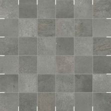 Monterey Casa Roma ®  Titanium (2×2 Mosaic 12×12 Rectified) Titanium CAS63602