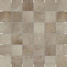 Monterey Casa Roma ®  Iron (2×2 Mosaic 12×12 Rectified) Iron CAS63603