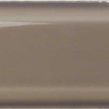 Wall Classics Casa Roma ®  Grey (3×12 Bevel Glossy Pressed) Grey CASBLT04312BE