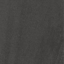 Atelier Casa Roma ®  Black (12×24 Honed Rectified) Black CASIRG1224162