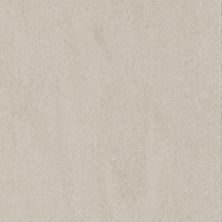 Atelier Casa Roma ®  White (12×24 Honed Rectified) White CASIRG1224167