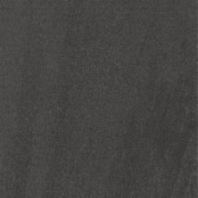 Atelier Casa Roma ®  Black (18×36 Honed Rectified) Black CASIRG1836162