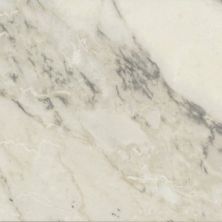 Carrara Select Casa Roma ®  Arabescato (24×48 Honed Rectified) Arabescato CASIRG2448143