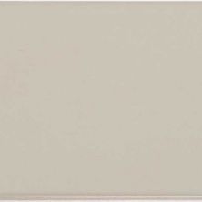 Wall Classics Casa Roma ®  Light Grey (3×12 Flat Glossy Pressed) Light CASMDC02312GL